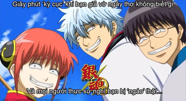 Giải trí với loạt meme 'Gintama' không thể nhịn cười, xem xong chỉ muốn cày lại từ đầu